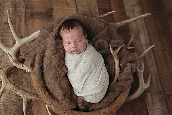 Stetson - Newborn 